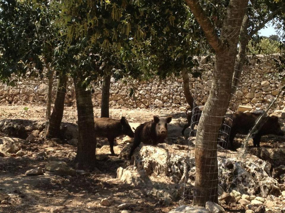 Masseria Autigne Otranto Bagian luar foto